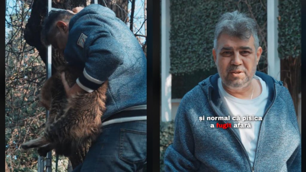 Ciolacu a devenit catarator pentru a salva pisica