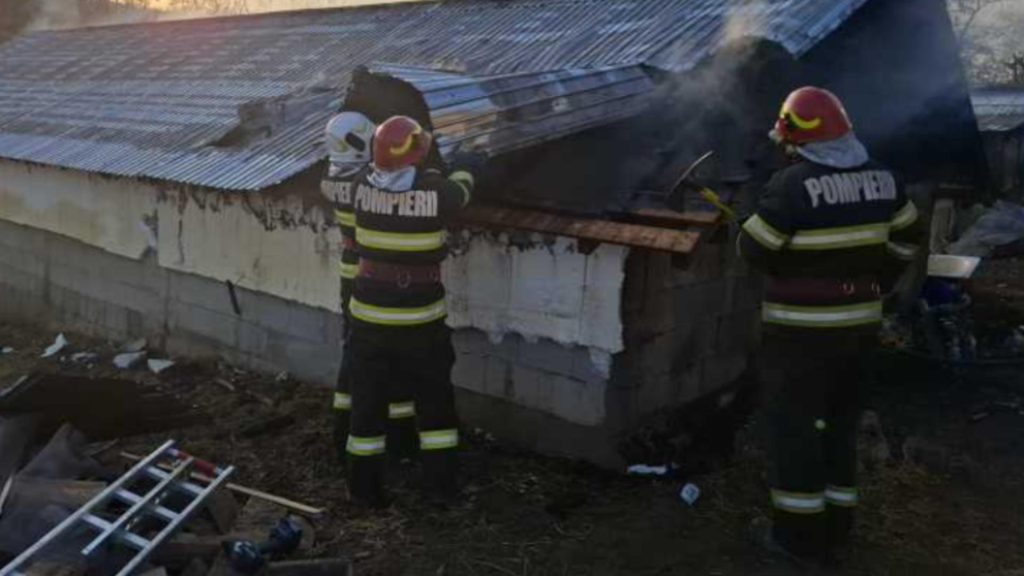 Incendiu a distrus adapost animale in Probota Suceava
