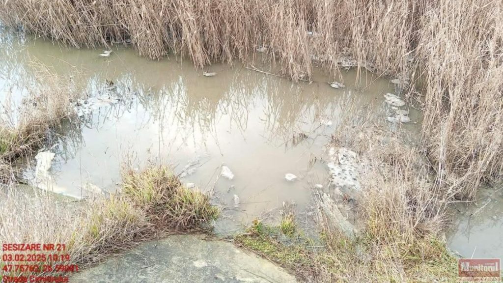 Poluare cu amoniac intr un rau din Botosani