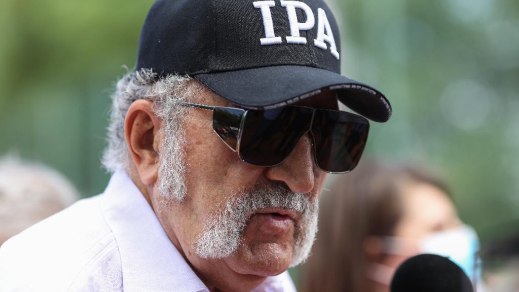 Cate avioane detine Ion Tiriac si costul favoritului
