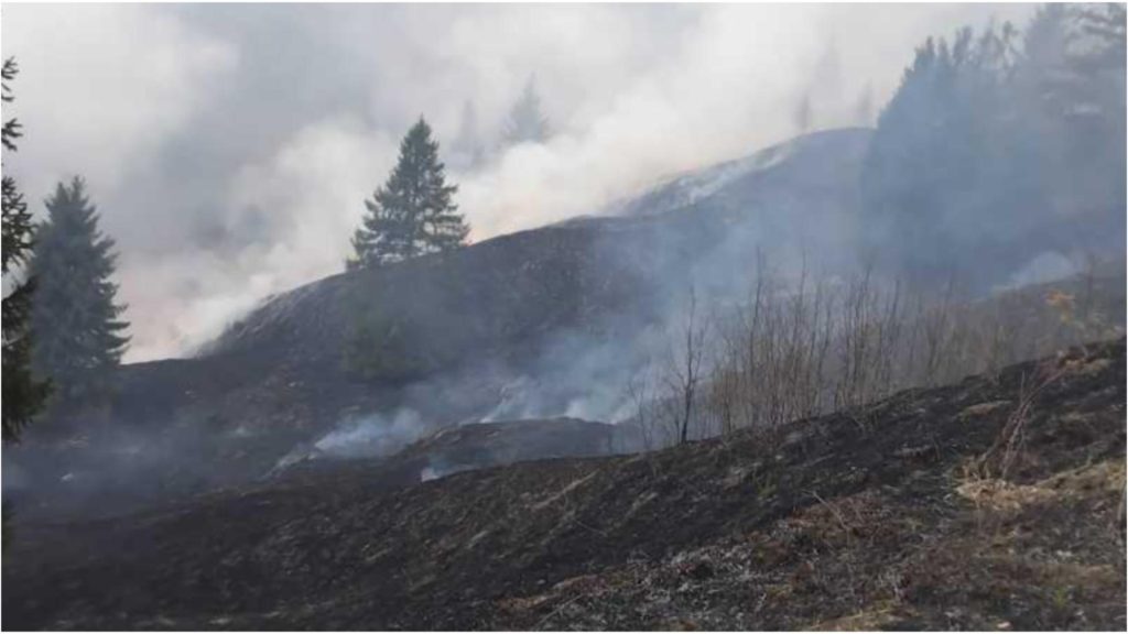 Incendiu mare in Neamt 7 hectare arse