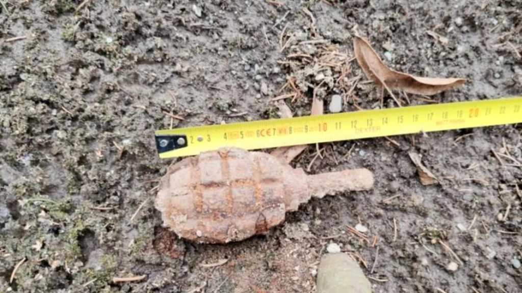 Grenada descoperita in curtea unui localnic din Botosani