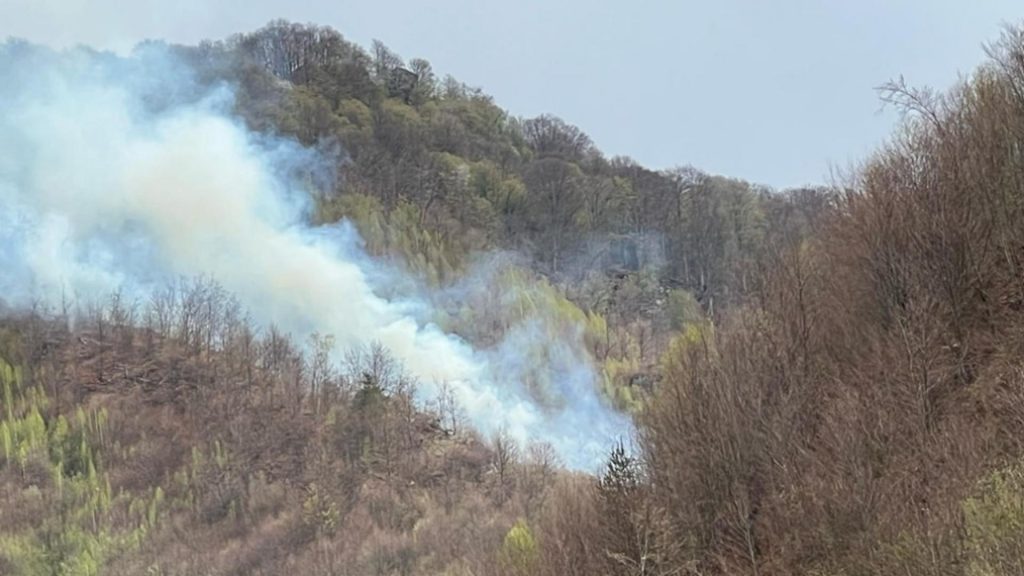 Incendiu de vegetatie in Arges 24 hectare afectate