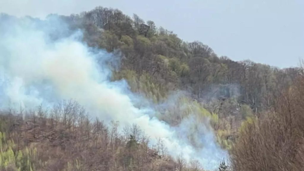 Incendiul de padure de la Cetateni stins in 5 zile