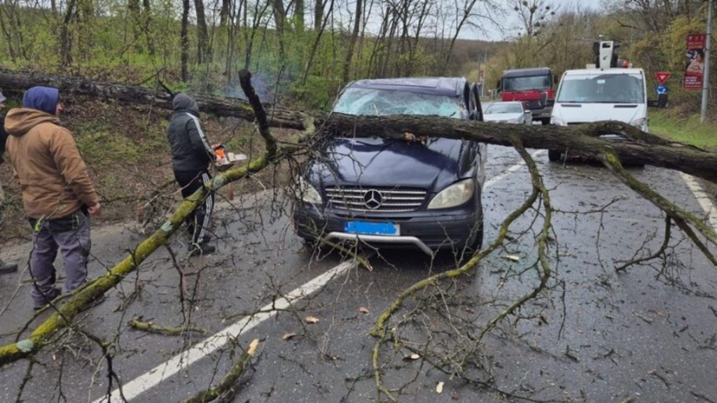 Incident grav in Iasi Copac prabusit peste masina cu trei persoane