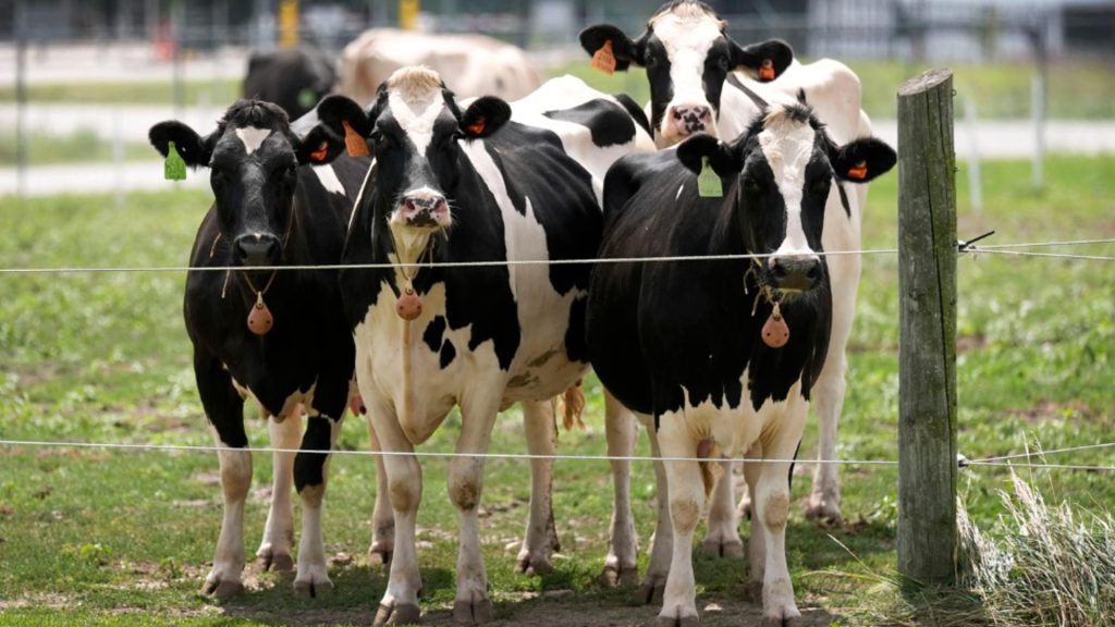 Romania activeaza urgentele zootehnice posibil virus artificial