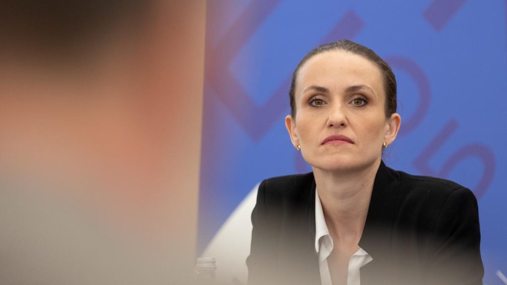 Oana Toiu Sustinem negocierile pentru incetarea focului