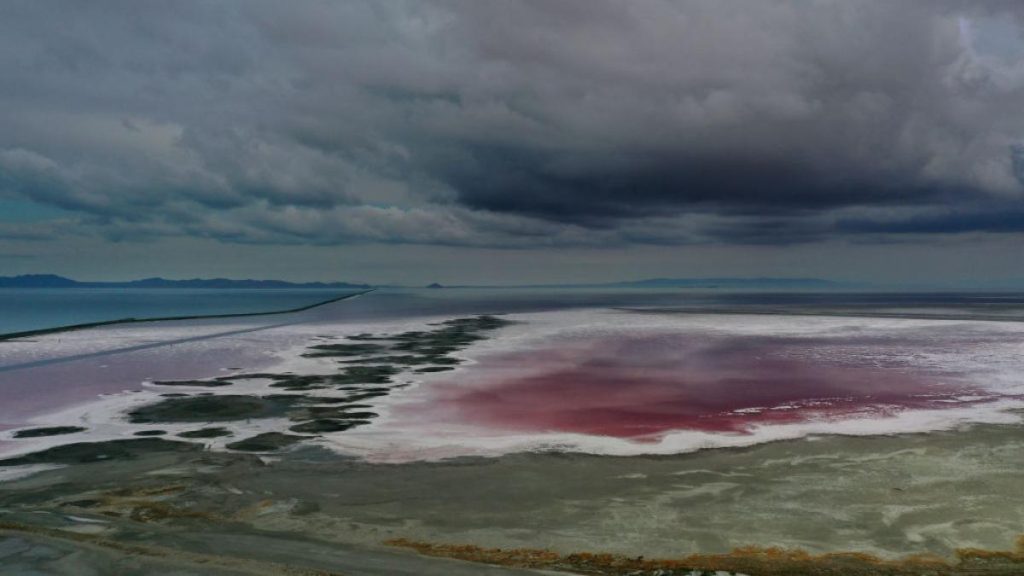 Un animal misterios a fost descoperit in lac