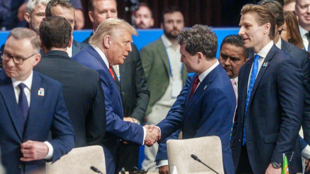 Donald Trump l-a invitat pe Nicușor Dan în „Consiliul de Pace” pentru Ucraina. Ce mesaj i-a transmis… donald trump l a invitat pe nicusor dan in consiliul de pace pentru ucraina ce mesaj i a transmis