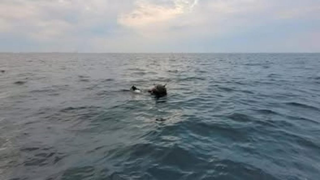 Conflictul România-Rusia referitor la originea minelor marine plutitoare în Marea Neagră. Răspunsul MApN pentru… Conflictul Romania Rusia referitor la originea minelor marine plutitoare in Marea Neagra Raspunsul MApN pentru