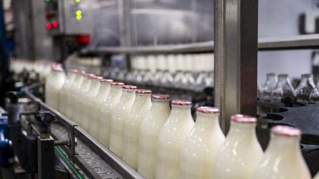 Laptele românesc dispare din piață: fermierii vând cu pierderi, iar importurile afectează producția… Laptele romanesc dispare din piata fermierii vand cu pierderi iar importurile afecteaza productia
