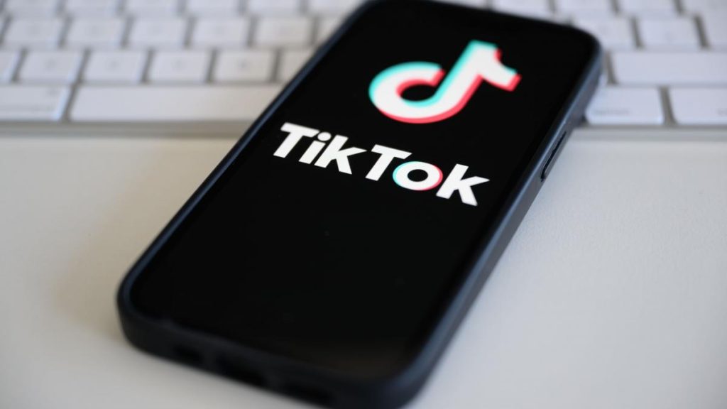USR contesta interzicerea TikTok propusa de colegii de la PNL
