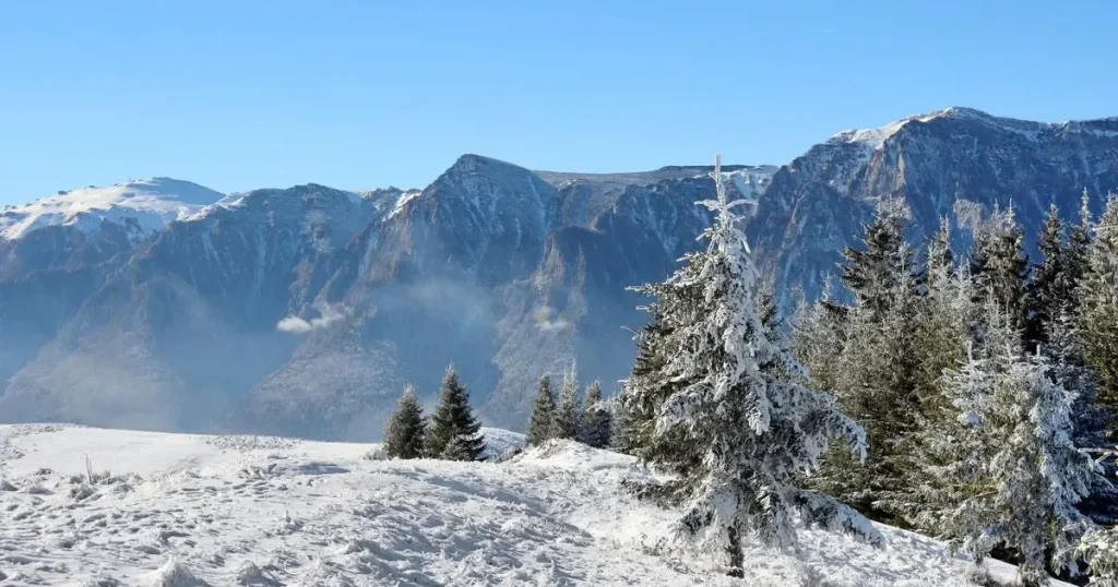 Val de aer polar în România: primele ninsori și temperaturi în scădere cu până la 12 grade